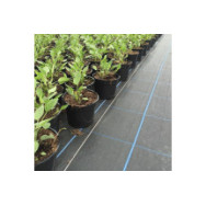 Weed Barriers & Membranes