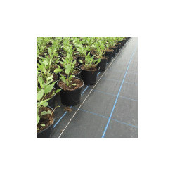 Weed Barriers & Membranes